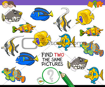 find two the same pictures activity game