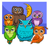 owls group cartoon animal characters