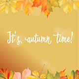 A frame of different autumn leaves. Ready template for your design. Vector illustration