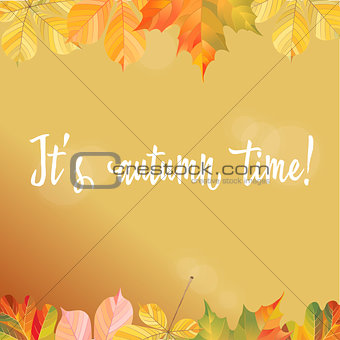 A frame of different autumn leaves. Ready template for your design. Vector illustration