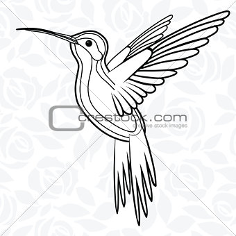 Colibri or Hummingbirds for logo, icon, t-shirt, mascot, poster vector illustration for t-shirt. Sketch tattoo design.