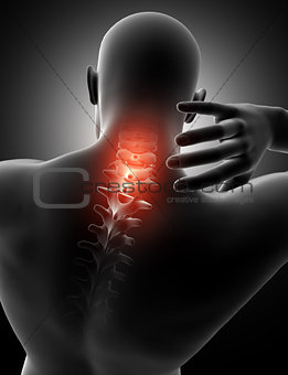 3D male figure with neck highlighted in pain