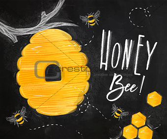 Poster honey bee chalk