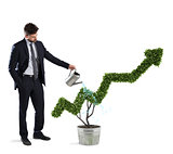 Businessman that watering a plant with a shape of arrow. Concept of growing of company economy .