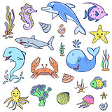 cute ocean animals