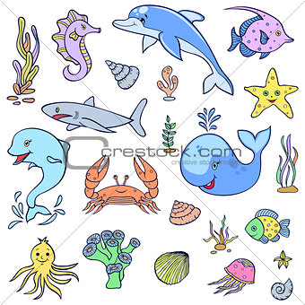 cute ocean animals