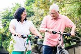 Portrait of active senior couple standing on bicycles
