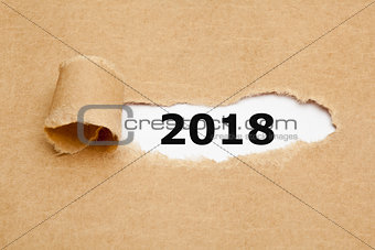 Year 2018 Torn Paper Concept 