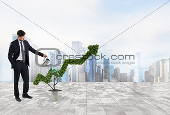 Businessman that watering a plant with a shape of arrow. Concept of growing of company economy .