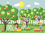 Vector illustration cartoon characters children boys and girls harvest ripe fruits autumn orchard garden from plum, pear, apple trees, put crop in full basket landscape scene outdoor flat style