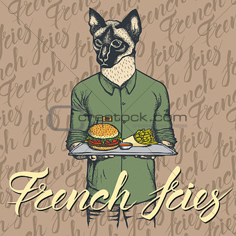 Vector Illustration of cat with burger and French fries