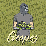 Vector gorilla with grapes illustration
