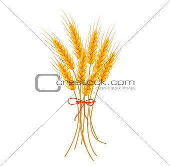 Wheat icon flat style. Isolated on white background. Vector illustration