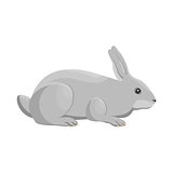 Vector illustration of a rabbit