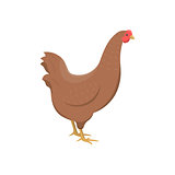 Vector illustration of a chicken