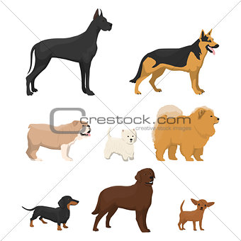 Vector illustrations set of different kinds of dog