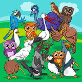birds group cartoon illustration