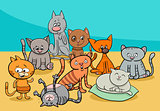 funny cats group cartoon illustration