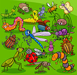 cartoon insects animal characters group