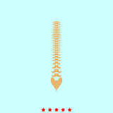 Human spine it is icon .