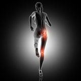 3D rear view of a female running with knee and hip joint highlig
