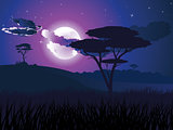 African Night Landscape
