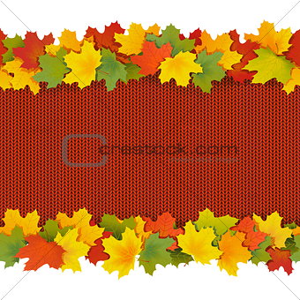 Vector Knitted Border with Maple Leaves