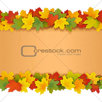 Vector Paper Border with Maple Leaves