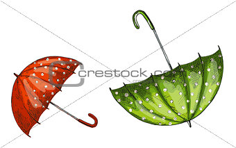 Two opened green and red umbrellas isolated on white background. Vector