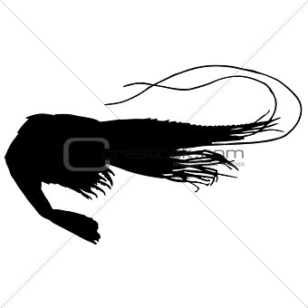 black and white silhouette of shrimp