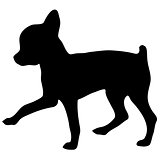 Silhouette of a chihuahua.Vector illustration