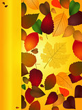 Autumn Background portrait with copy space panel