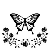 butterfly with flourishes