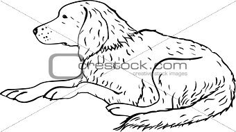 Stylized dog line art. Artistic animal silhouette