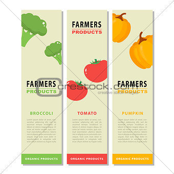 Design template of a vegetable vertical flyers.