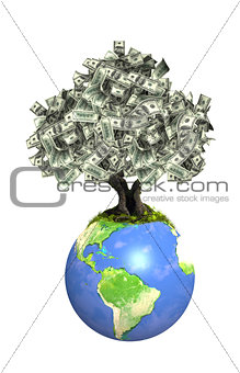 Money tree with dollar banknotes on Earth