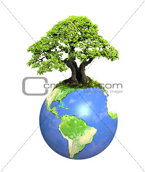 Eco concept. Tree on Earth