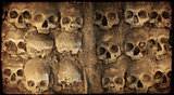Grunge Halloween background with human skulls 