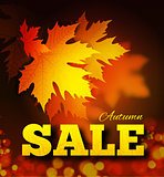 Autumn sale background with leaf texture on the lettersh and bokeh.