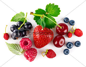 Organic berry fruity mix with green leaf