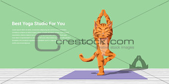 cat practice yoga