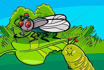 fly and caterpillar cartoon insect characters