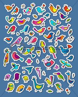 Birds, sticker set for your design