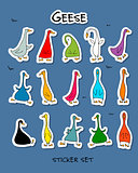 Funny goose, sticker set for your design