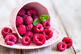 Raspberry in cup