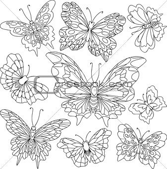 Set of different butterflies with beautiful wings