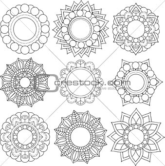 Set of different flowers and floral patterns