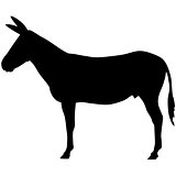 vector silhouette of donkey