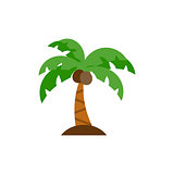 Palm tree icon flat