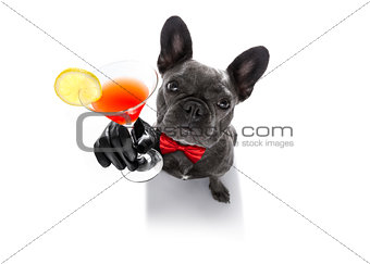 drunk dog drinking a cocktail 